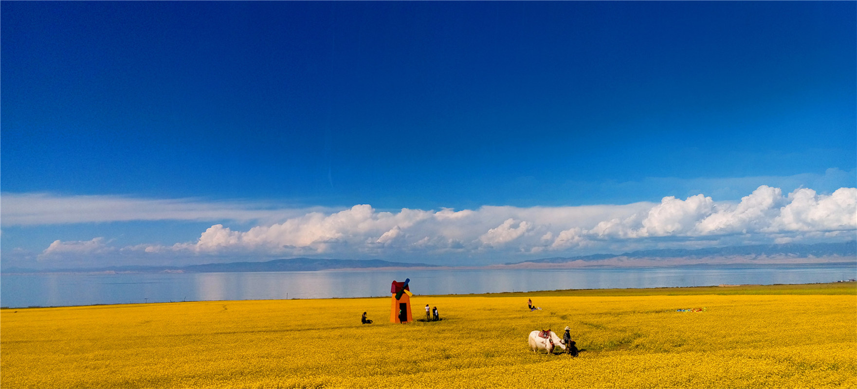 《大美青?！穭㈤?/>
                                    <div   id=