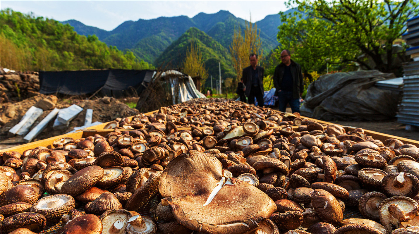 《結對幫扶，碩果累累》高波
